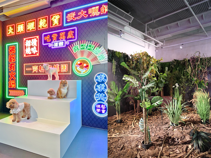 聖誕節好去處｜《人生照相館II》20個打卡場景！可租借寵物韓服