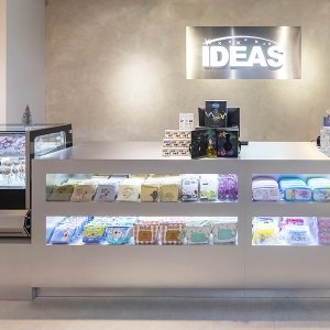 迪士尼IDEAS進駐屯門市廣場｜香港首間獲授權專賣店！預售限量版商品