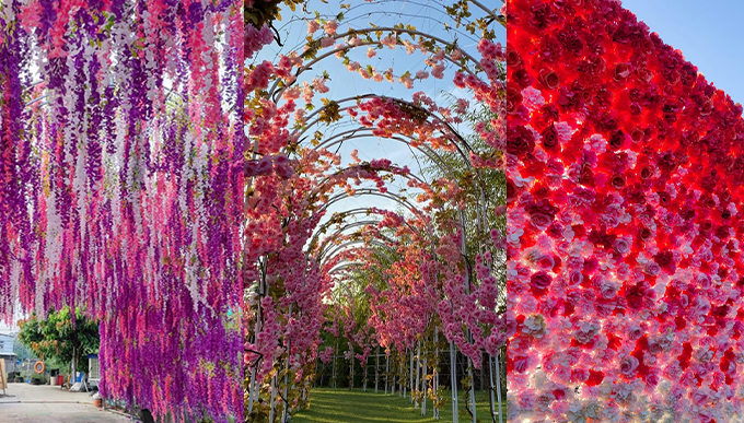 必影打卡位：紫藤花、玫瑰花隧道