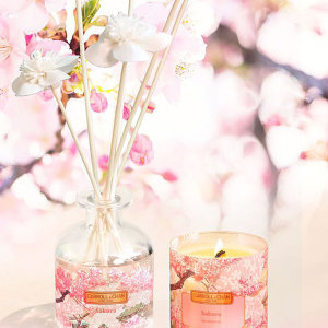天然香氛蠟燭推薦｜Carroll & Chan香港回憶白蘭花、清新薑百合、日藉設計師櫻花香氣！