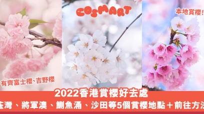 2022香港賞櫻好去處｜5個荃灣、將軍澳、鰂魚涌、沙田等賞櫻地點及前往方法＋打卡必備櫻花小物推介