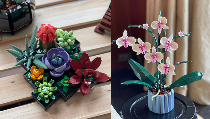 多肉植物Lego