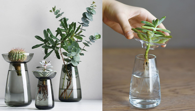 家居種植貼士1：適合的花瓶