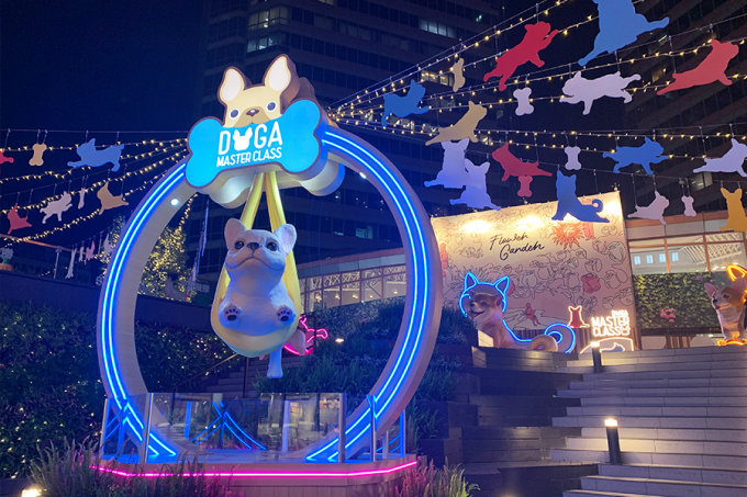 香港放假好去處2022｜葵芳新都會廣場4米高巨犬柴柴！狗狗汪星球打卡佈置！