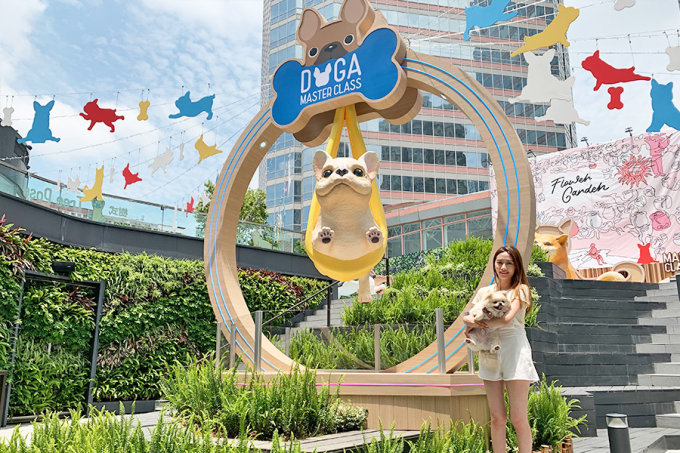 香港放假好去處2022｜葵芳新都會廣場4米高巨犬柴柴！狗狗汪星球打卡佈置！