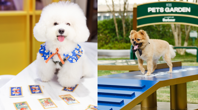 放假帶毛孩去玩！K11 Musea全新Pets Garden、山頂廣場寵物工作坊＋港島區餐廳推介