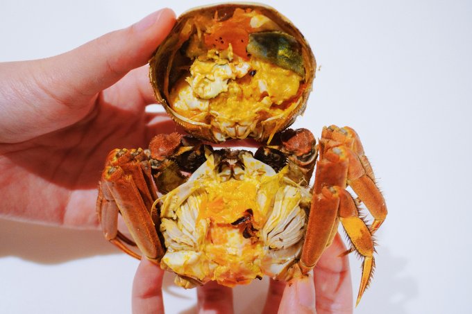 818GO | 9折購買江蘇清水大閘蟹