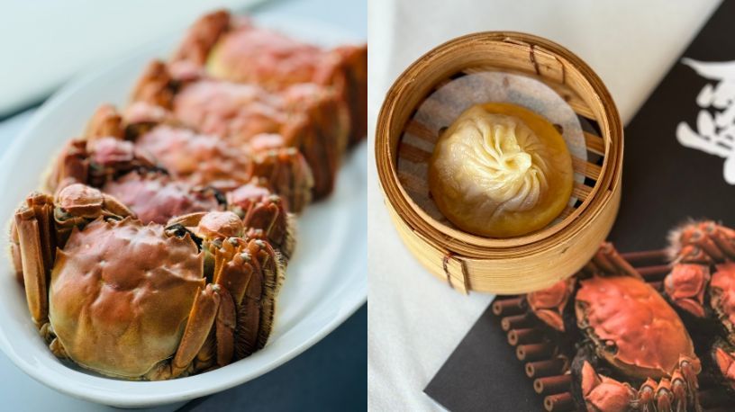大閘蟹推薦2023｜最佳食蟹季節！美利酒店、家上海、星宴、東海鴻星套餐、陶源酒家任食大閘蟹放題及外賣介紹