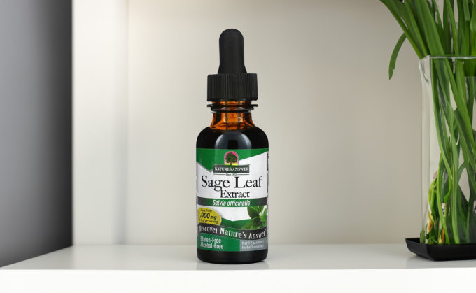 鼠尾草淨化｜鼠尾草哪裡買？5大快樂鼠尾草功效、禁忌及正確用法！