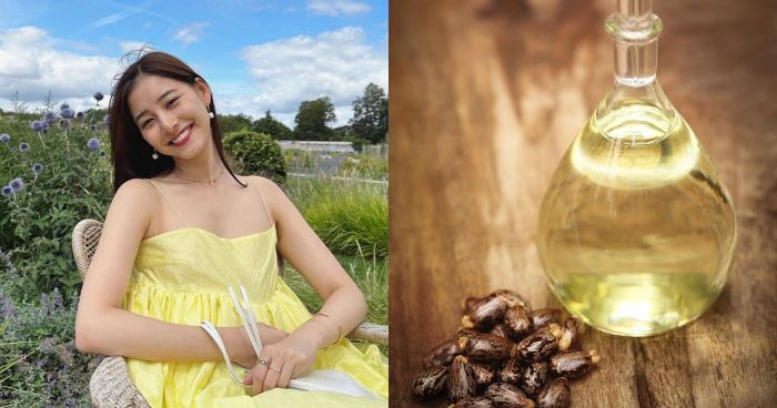 蓖麻籽油的功效｜蓖麻油特性及用途！認識蓖麻油成分+24件Castor Oil產品推薦