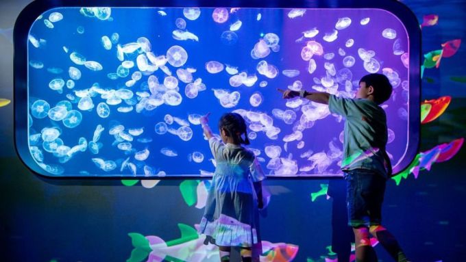 室內香港好去處2025｜放假26大週末好去處！親子/情侶/朋友影相好去處