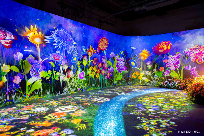 送禮活動｜NAKED FLOWERS 花舞光影展香港站成人門票
