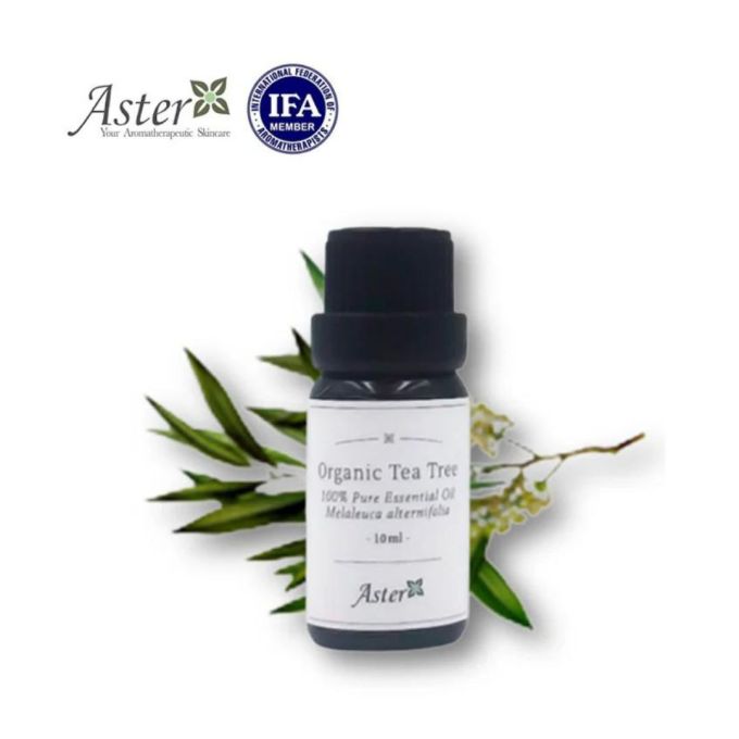 茶樹油功效｜11款茶樹油產品推薦！茶樹油用法/功效/注意事項公開
