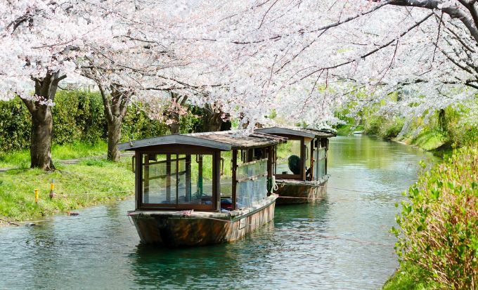 京都自由行｜15大必去京都景點！最新任天堂博物館/絕美神社/京都近郊一日遊