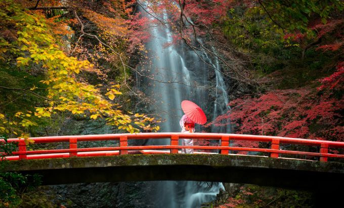 京都自由行｜15大必去京都景點！最新任天堂博物館/絕美神社/京都近郊一日遊