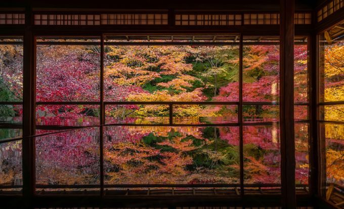 京都自由行｜15大必去京都景點！最新任天堂博物館/絕美神社/京都近郊一日遊