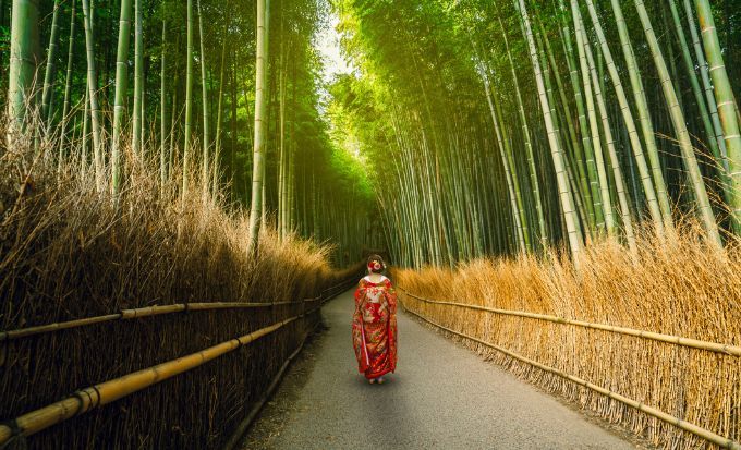 京都自由行｜15大必去京都景點！最新任天堂博物館/絕美神社/京都近郊一日遊