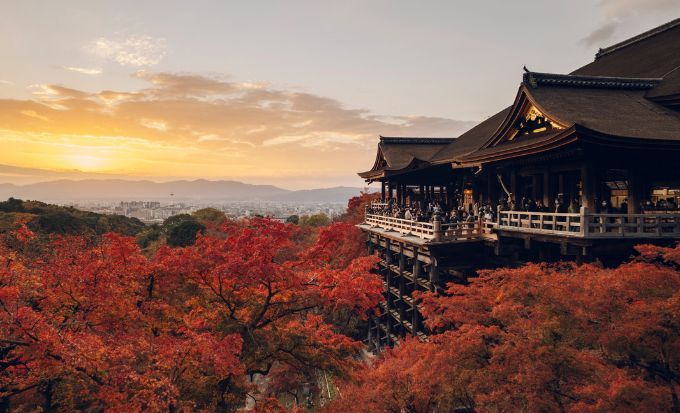 京都自由行｜15大必去京都景點！最新任天堂博物館/絕美神社/京都近郊一日遊