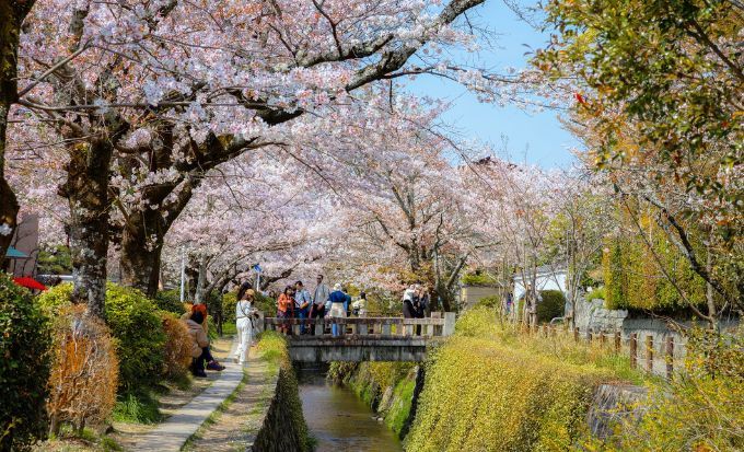 京都自由行｜15大必去京都景點！最新任天堂博物館/絕美神社/京都近郊一日遊