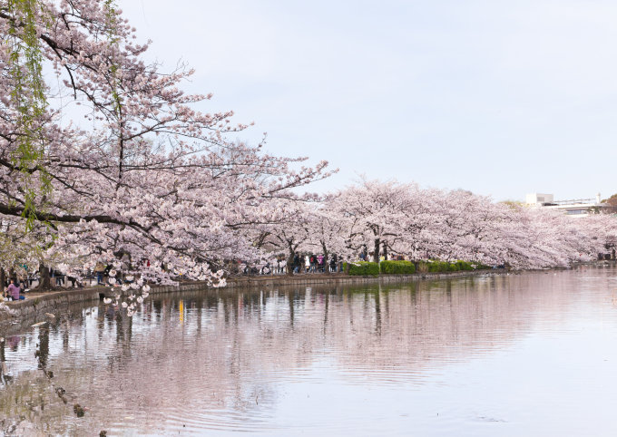 日本東京熱門景點2025｜17個東京必去景點+東京近郊一日遊懶人包