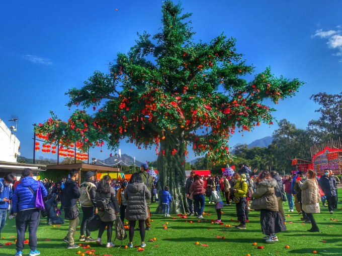 新年好去處2025｜17大新年行大運活動推介：年宵花市/新年市集/林村許願樹/寶雲道姻緣石