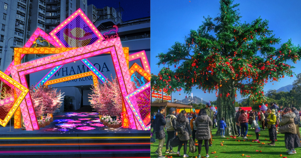 新年好去處2025｜17大新年行大運活動推介：年宵花市/新年市集/林村許願樹/寶雲道姻緣石