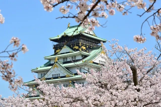 日本櫻花預測2025｜13個日本櫻花推薦景點+最新日本賞櫻時間表！東京、福岡3月尾率先開花！