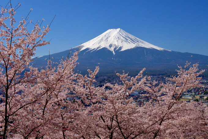 日本櫻花預測2025｜13個日本櫻花推薦景點+最新日本賞櫻時間表！東京、福岡3月尾率先開花！