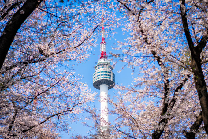 韓國首爾櫻花預測2025｜10大韓國首爾櫻花景點+最新首爾賞櫻時間表！附交通方法