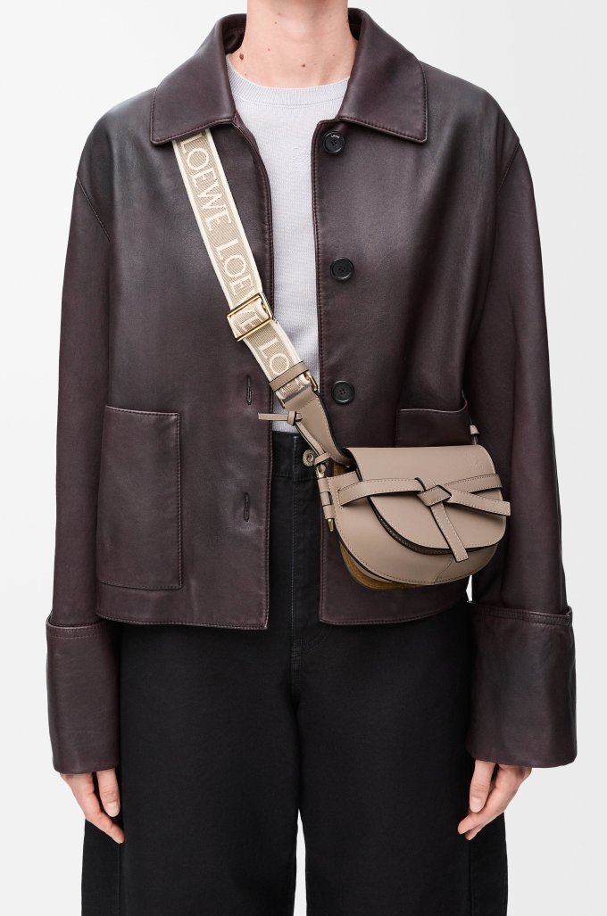 LOEWE手袋推薦2025｜10款人氣LOEWE袋款一次看清！LOEWE flamenco/cubi/gate/goya
