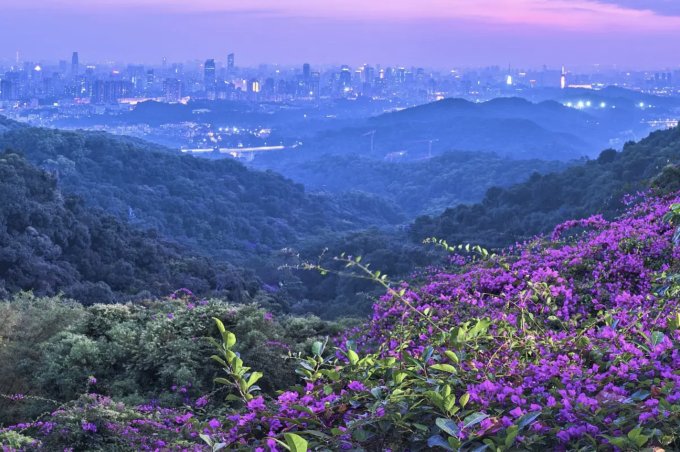 廣州好去處2025｜12大廣州景點推介！廣州融創雪世界/長隆動物園/文青打卡點一次滿足
