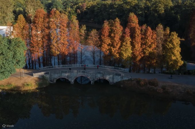 廣州好去處2025｜12大廣州景點推介！廣州融創雪世界/長隆動物園/文青打卡點一次滿足