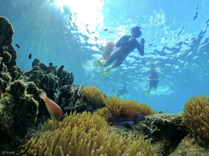 富國島自由行2025｜13大熱門富國島景點懶人包！最Chill越南海島度假提案