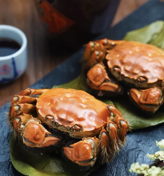 大閘蟹2025｜10間抵食大閘蟹宴推介！富臨皇宮/羲和雅苑/陶源酒家大閘蟹放題+大閘蟹公母差別/價格/禁忌