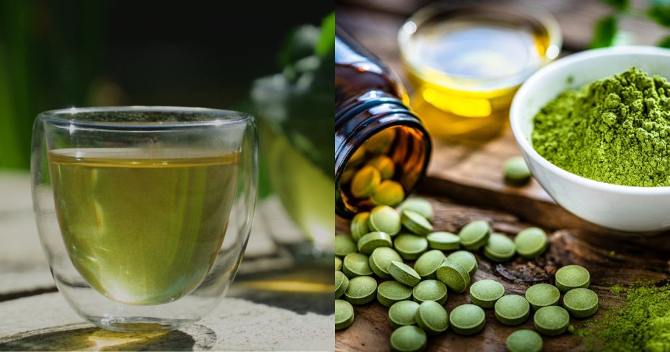 茶胺酸保健食品推薦2025｜吃茶氨酸睡眠質素會變好？茶氨酸功效/攝取量/副作用全攻略