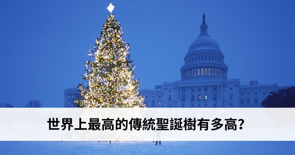 聖誕小知識挑戰 Week 1 | 世界上最高的傳統聖誕樹有多高？
